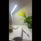 USB LED Desk Lamp | Touch Dimmable with Phone Holder & Eye-Care Light